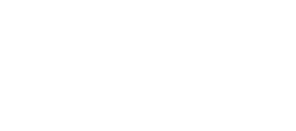 Brice Authority