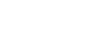 Nevada Authority